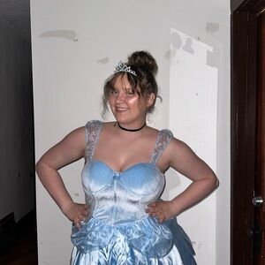Adult Cinderella costume